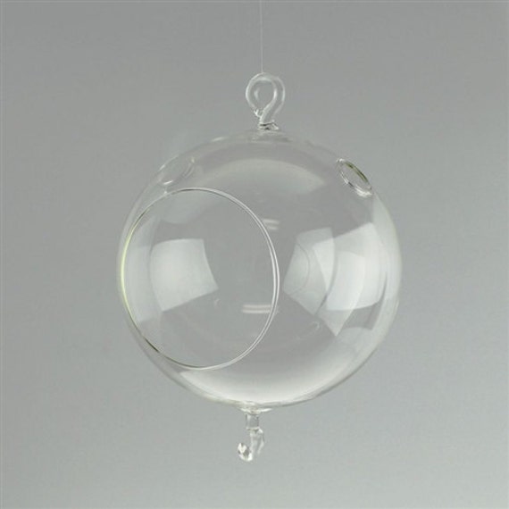 Clear Globe Hanging Terrarium Airplant Home Garden with