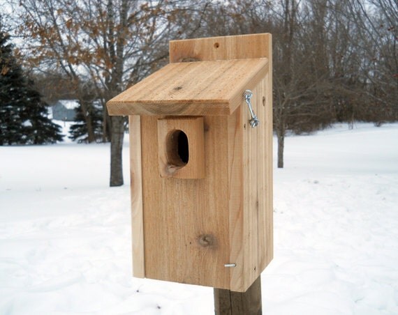 Bluebird House with predator guard Wood Birdhouse
