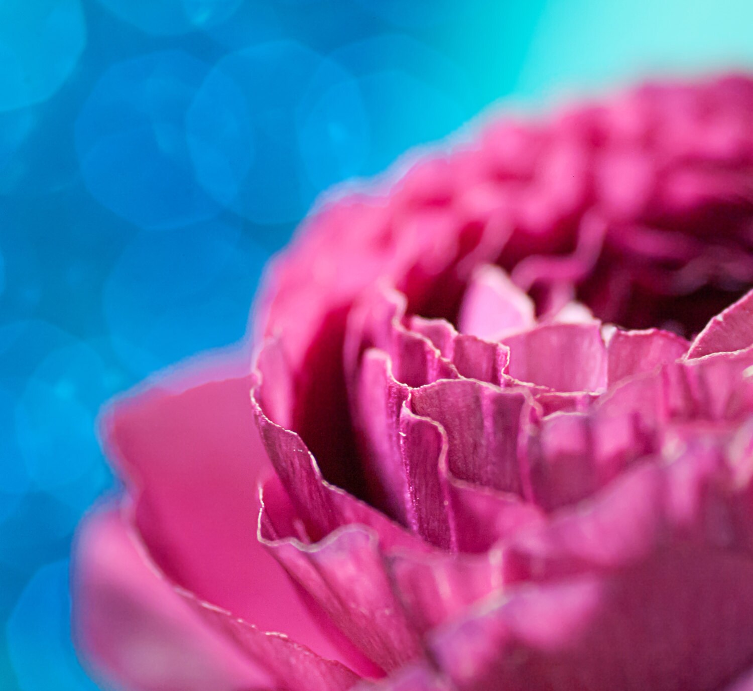 Pink Flower Photo Print Gender Neutral Nursery Decor