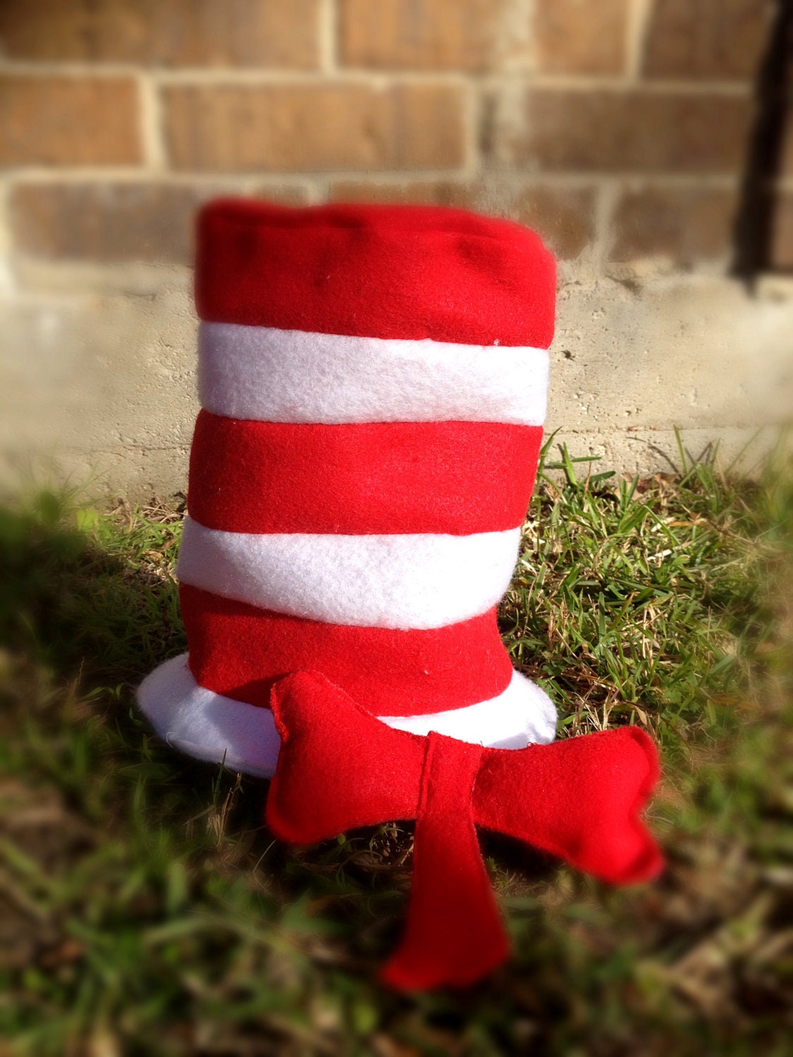 Cat in the hat Hat and Bow tie Dr Seuss red and white