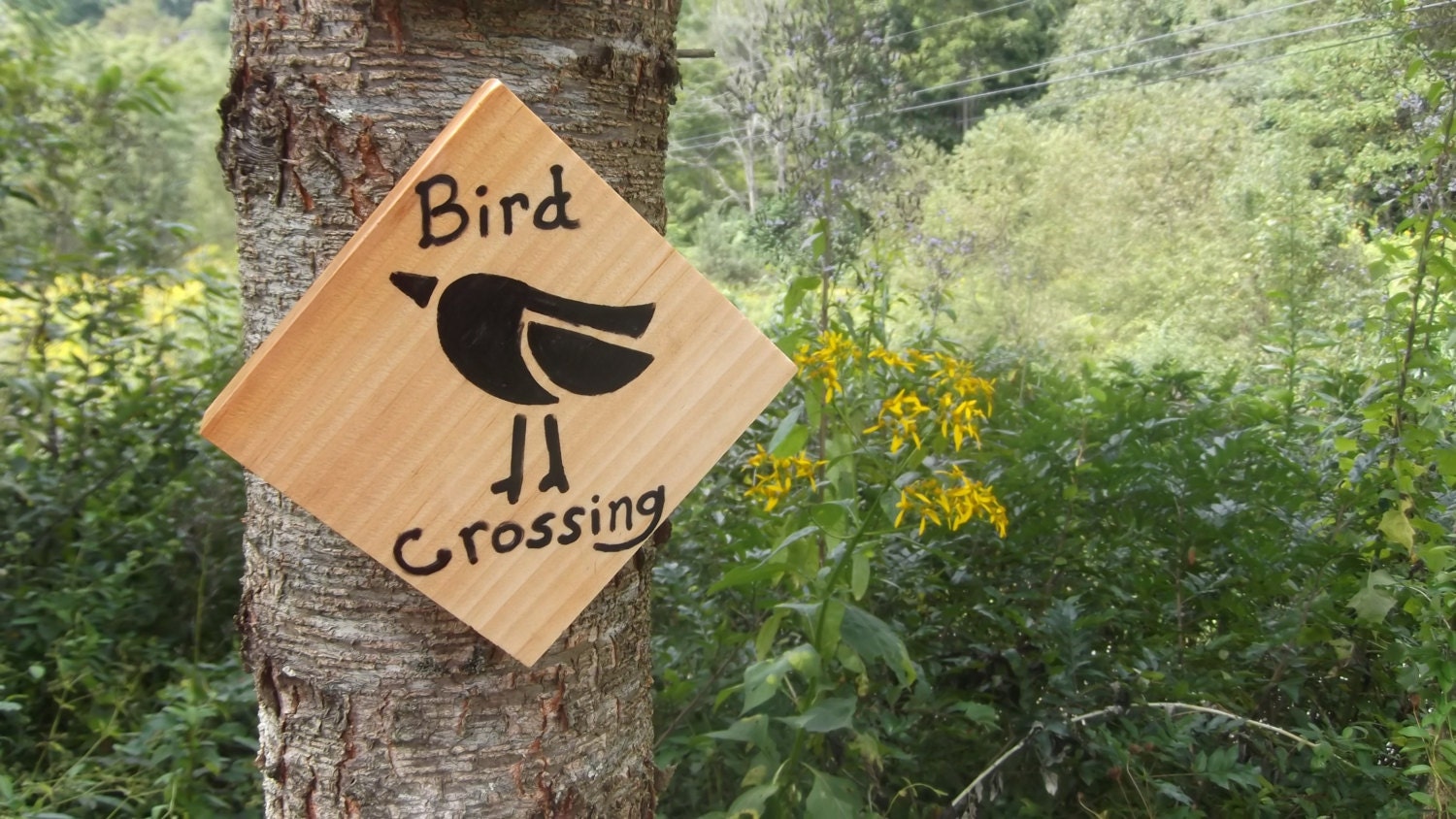 bird crossing sign by buffalogalcountry on etsy bird crossing sign by buffalogalcountry on etsy