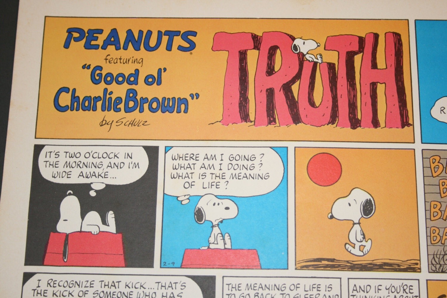 Snoopy and the meaning of Life Truth Charlie Brown Comic