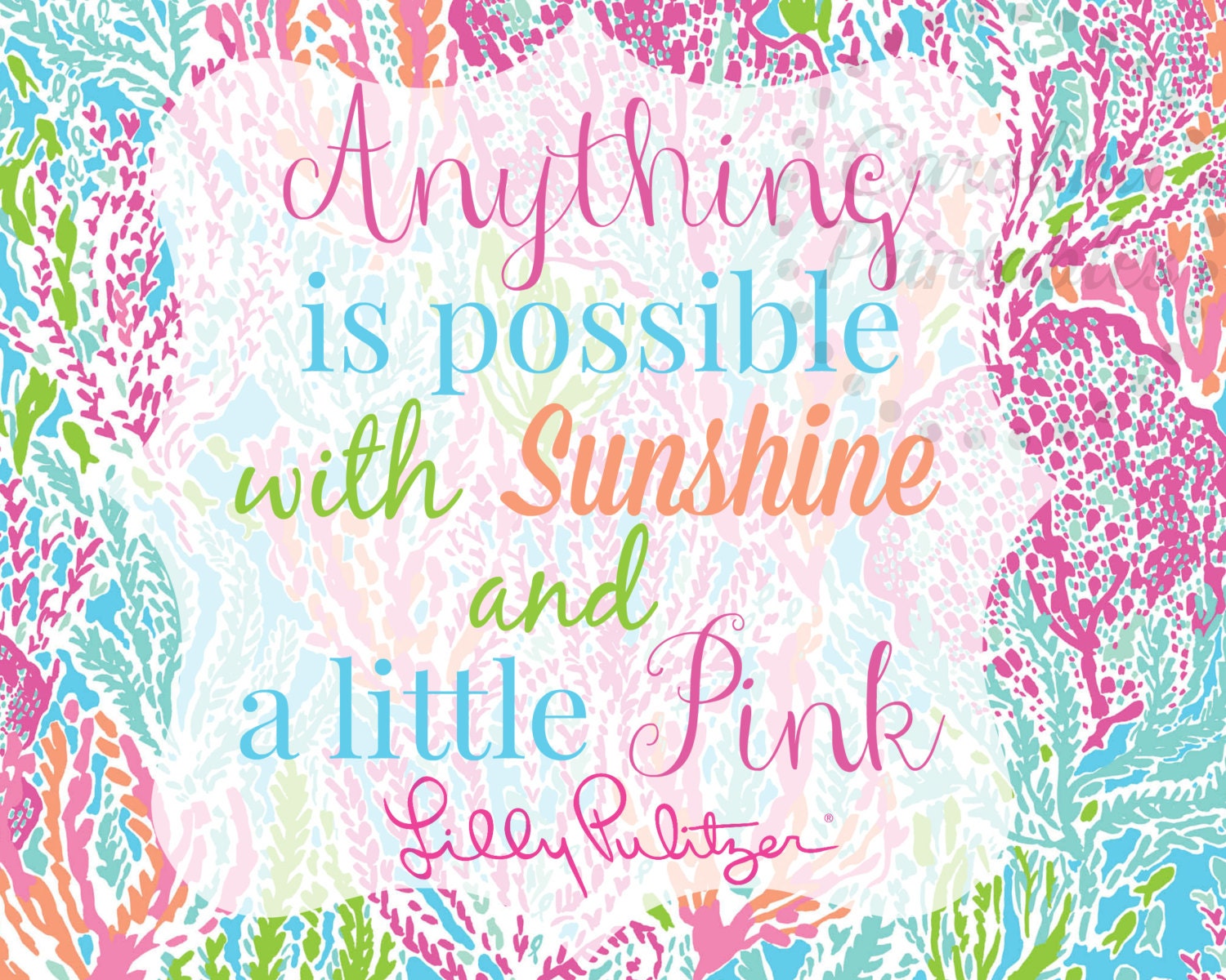 Anything is Possible with Sunshine and a Little Pink Lilly