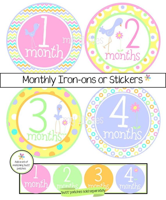 MONTHLY IRON ONS or Monthly stickers for Baby Baby by MyLilTees