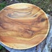 Extremely Large Poplar Wood Bowl, Centerpiece Bowl Hand Turned Palette of Poplar Colors Bowl