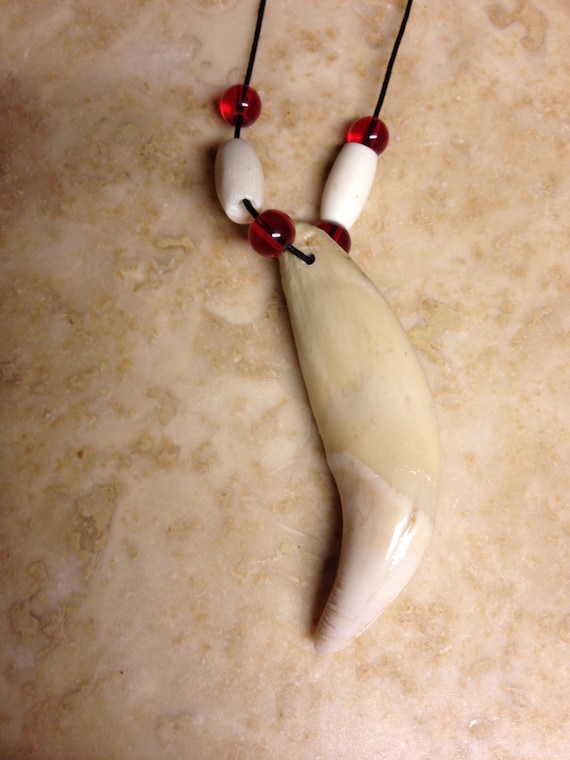 Real bear tooth necklace Native American made