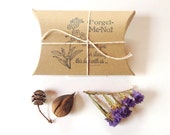 Bridal Shower Favors. Garden Shower. Forget-Me-Not Seeds. Set of 10. Ready to Ship.