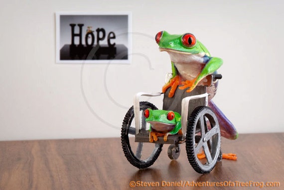 Frog in a Wheelchair Medical Humor Medical Art Wellness Art