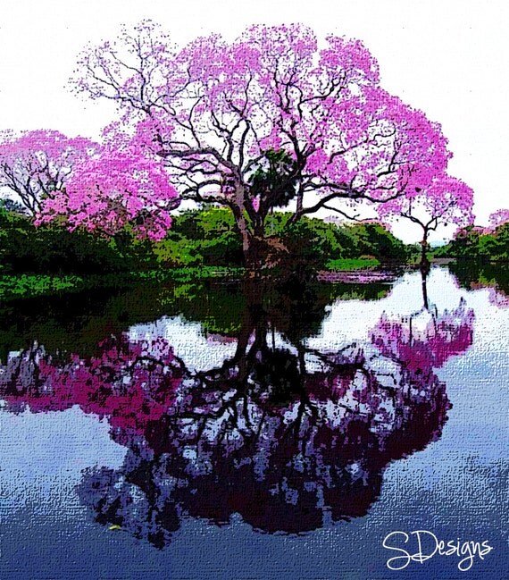 items similar to beautiful japanese cherry blossom tree items similar to beautiful japanese cherry blossom tree