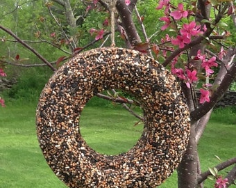 Bird Seed Wreath Bird Feeder Hanging Feeder Bird Lover Wedding Gift Housewarming Gift Garden Decor Trees Wildlife Seed Feeder Birdseed