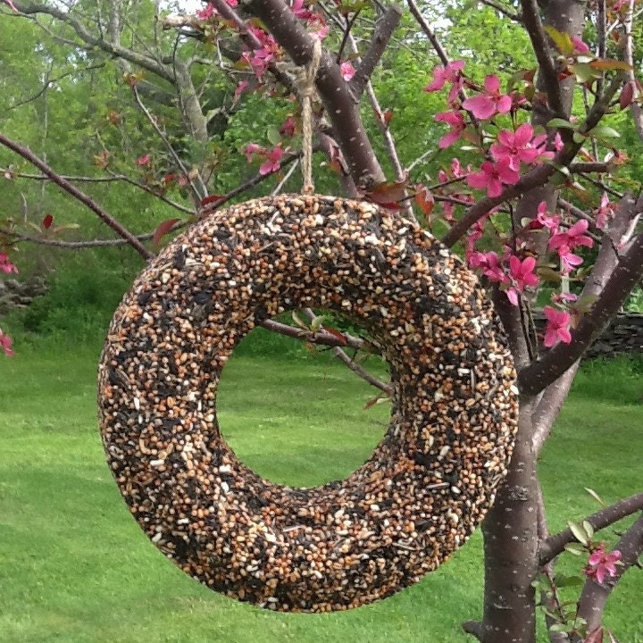 bird seed wreath bird feeder hanging feeder bird lover wedding bird seed wreath bird feeder hanging feeder bird lover wedding