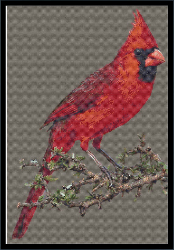 cross stitch cardinal pattern patterns bird cardinals stitching counted embroidery stitches crossstitch