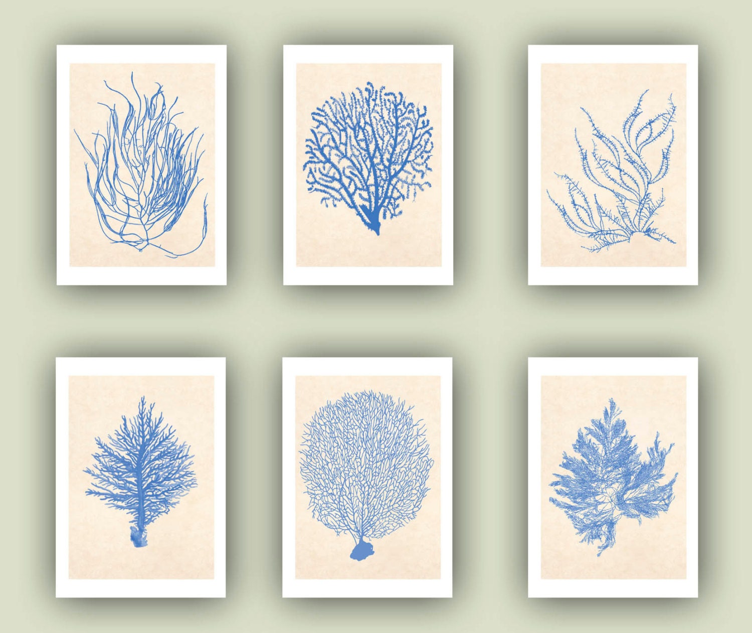 Sea fan Prints Ocean seafan Print Sealife Nautical Art Blue