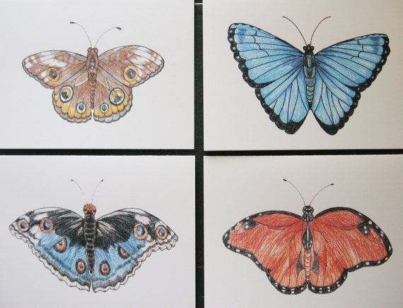 Butterflies Note Cards Set /4 Assorted Watercolor, Colored Pencil and Pen and Ink