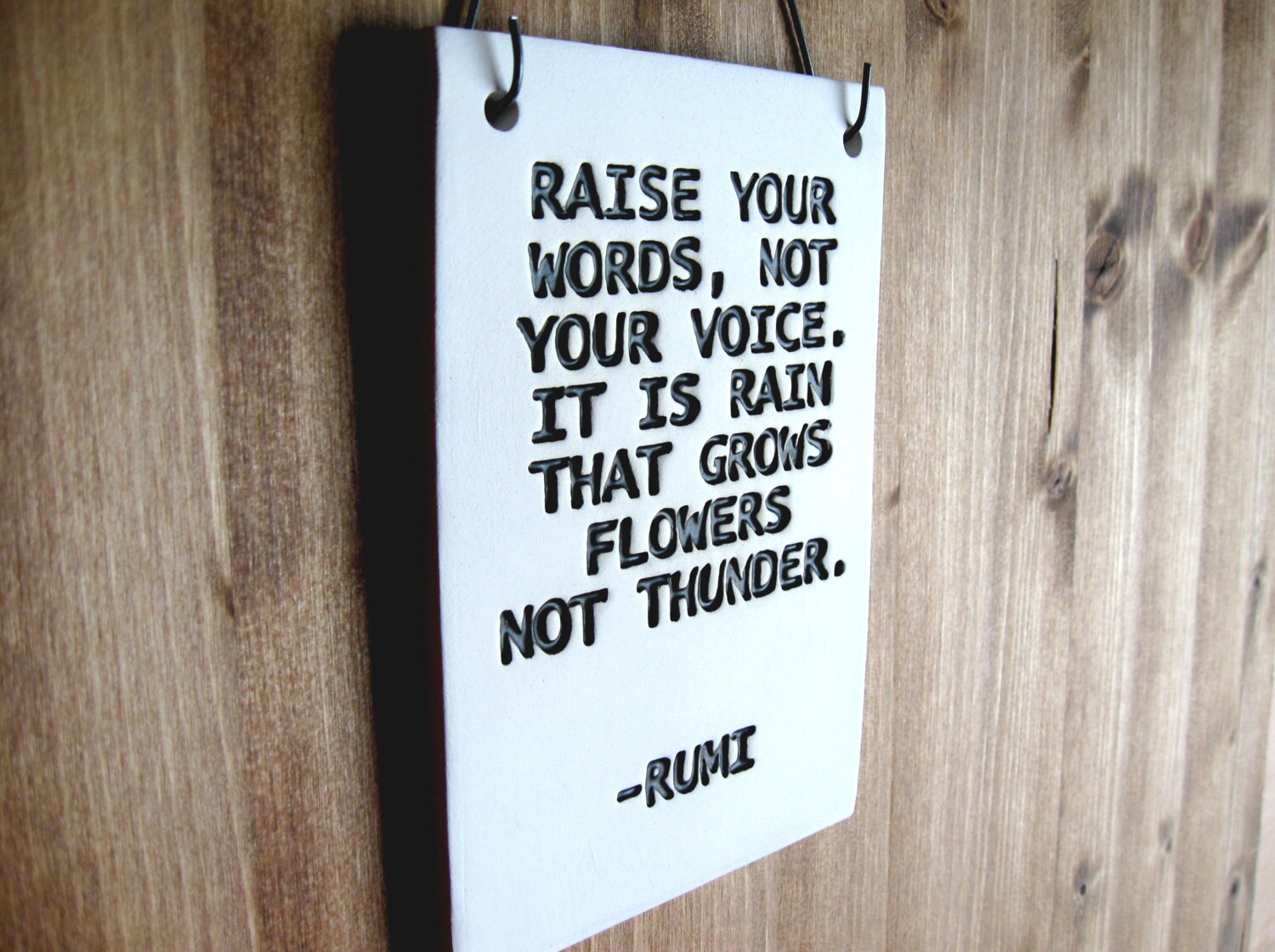 Raise your words not your voice essay image