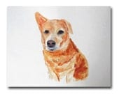 Limited Edition Print Dog Portrait 8x10 Fine Art from Watercolor Painting Modern Minimalism Yellow Dog Canine Art Contemporary Wall Decor Limited Edition Print Dog Portrait 8x10 Fine Art from Watercolor Painting Modern Minimalism Yellow Dog Canine Art Contemporary Wall Decor