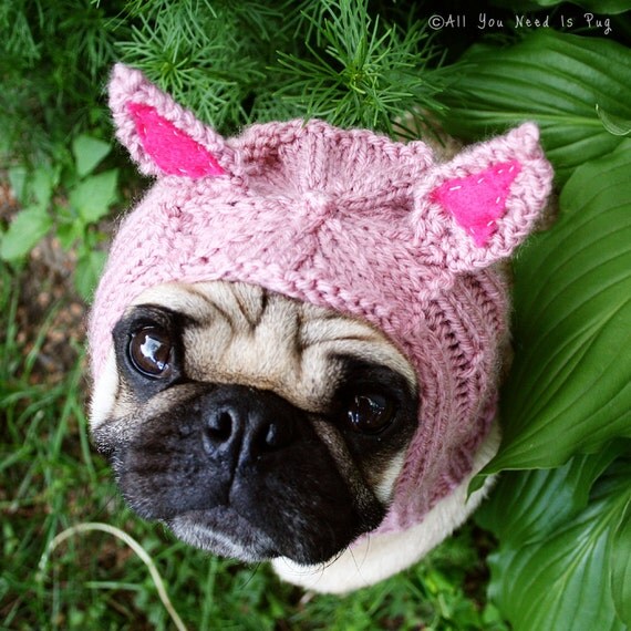 Piglet Dog Hat Pug Hat by AllYouNeedIsPugShop on Etsy