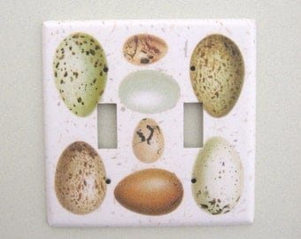 Double bird egg study light switch cover switchplate