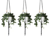 Set of 3 || Large Hanging Planter without Pot | Modern Macrame Planter | Natural Wood Bead Plant Hanger | Minimalist Home Decor