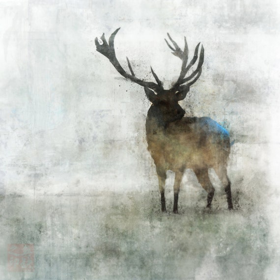 Reindeer 02: Giclee Fine Art Print 13X19