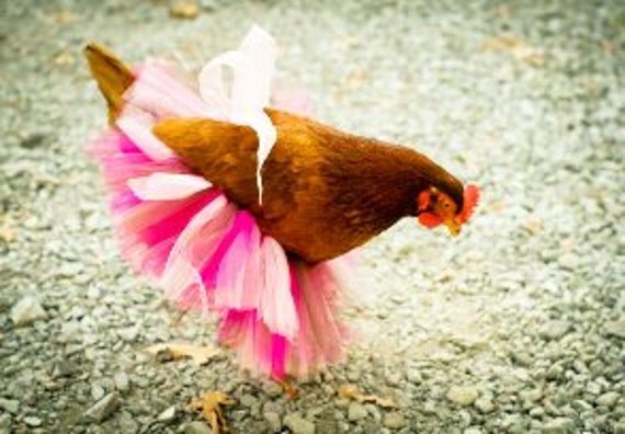 29" w x 16" l whimsical patriotic tutu