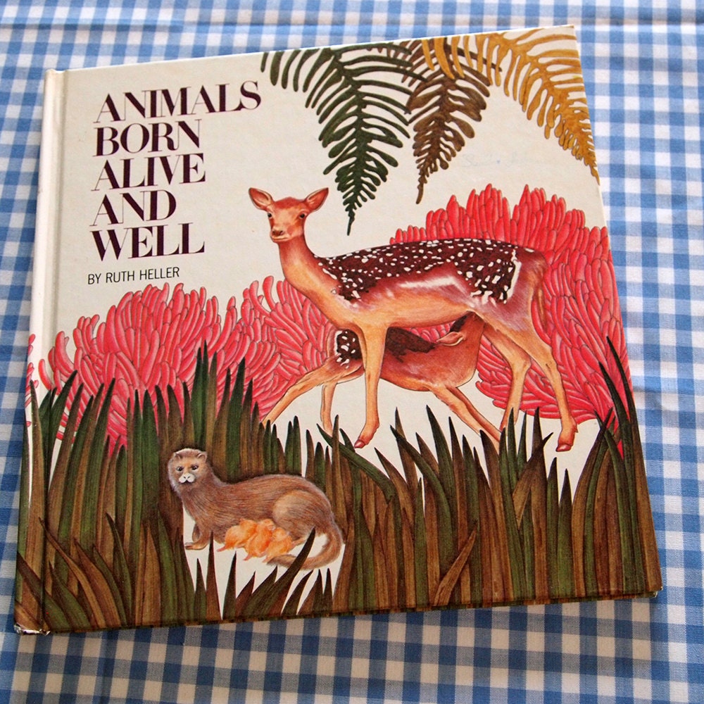 animals-born-alive-and-well-vintage-1982-children-s-book