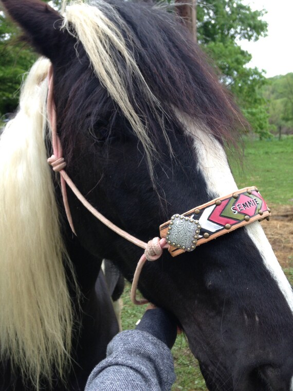 Custom Chevron Rope Halter Noseband made to by TheLazyHleather