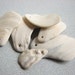 Hand Drilled Sea Shells, Shell Focal Bead DIY Seashell Pendant