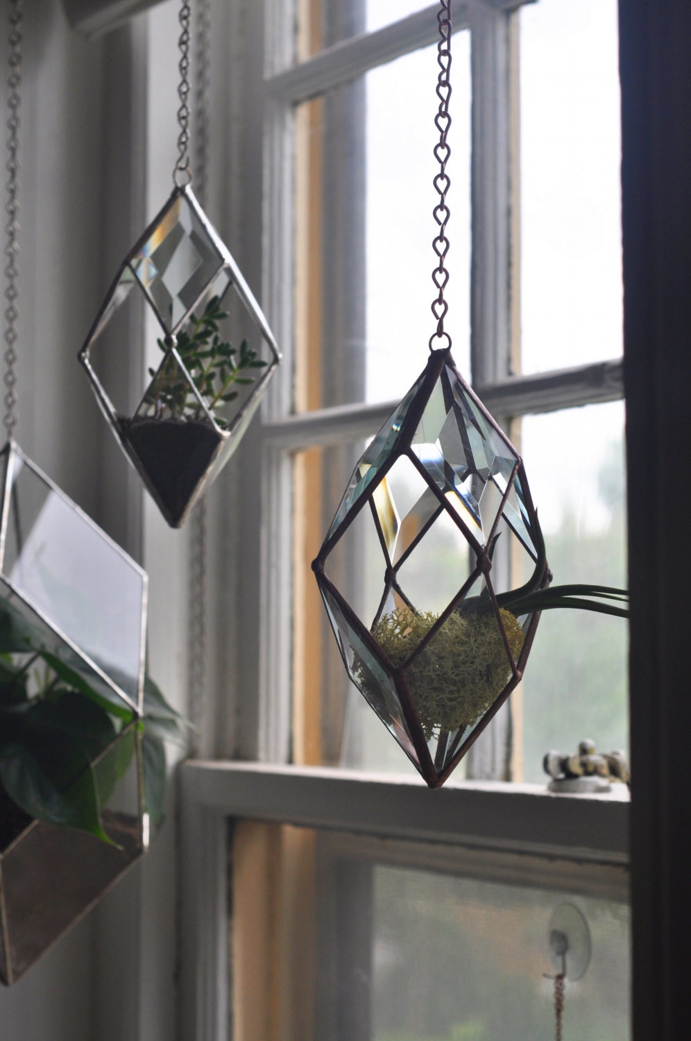 Iridis Prism Terrarium small for air plant terrarium or