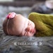 Felt Flower Headband - Pick Your Colors - felt flower trio on skinny elastic headband - newborn - baby - child