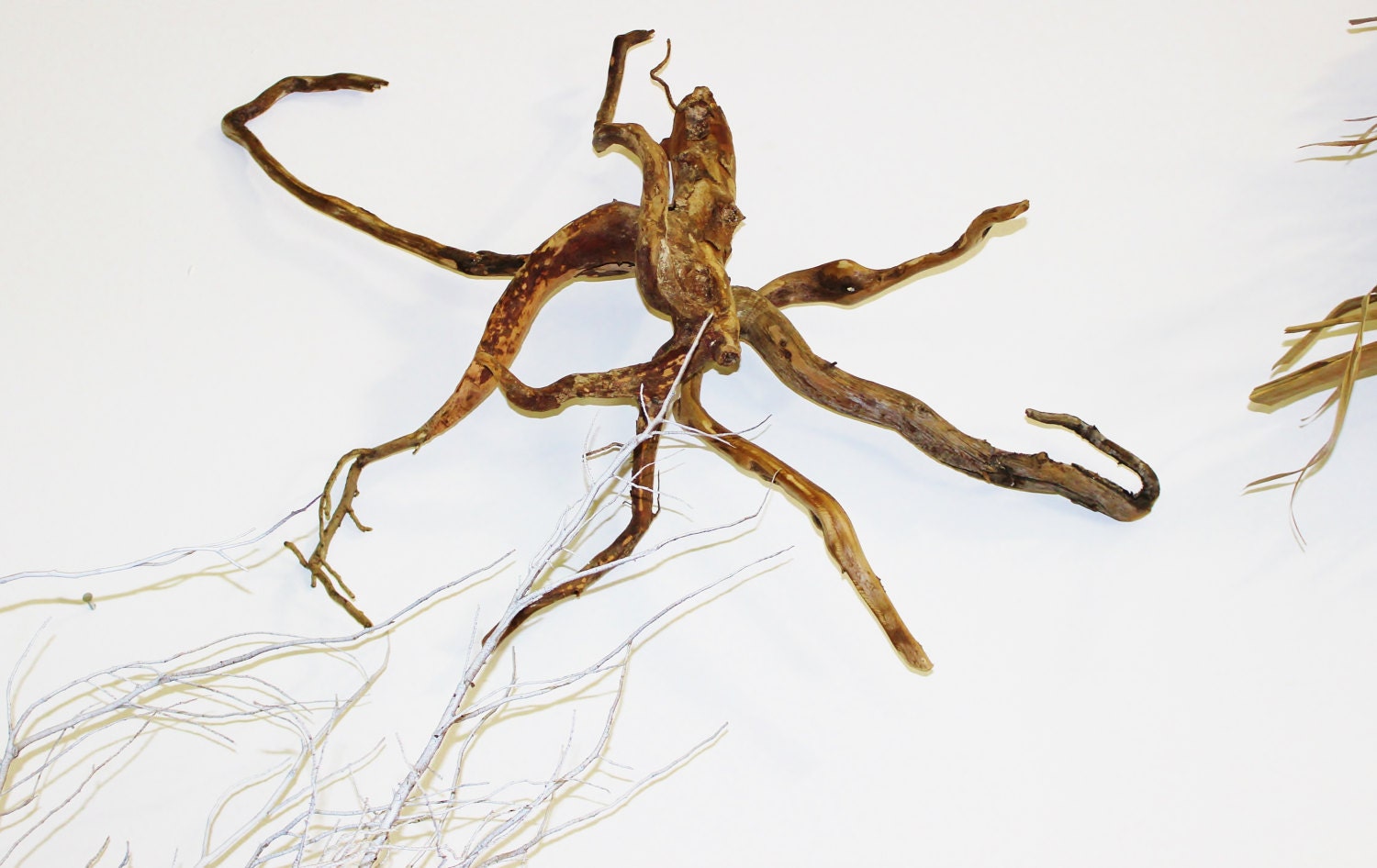 Driftwood Octopus Sculpture, Glass Eye, Handmade OOAK, 2ft. x 2ft. approx., Mixed Media