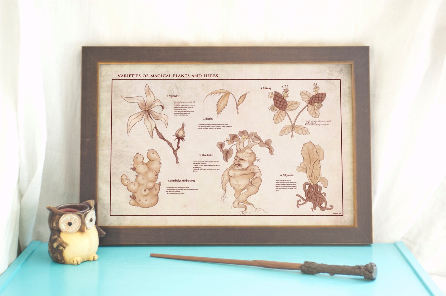 herbology-botanical-chart-print-magical-plants-and-herbs