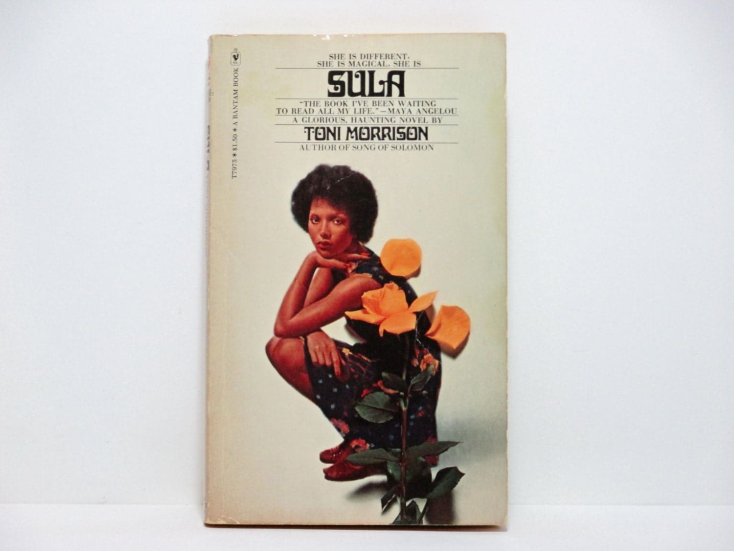 Toni Morrisons Sula The Judgment of Sula