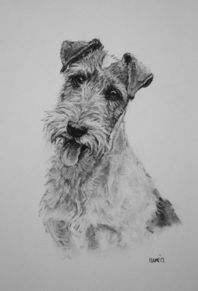 Wire Fox Terrier dog fine art LE print dog gift dog lover gift