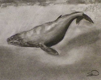 Popular items for Humpback Whale art on Etsy