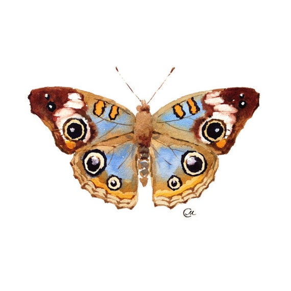 Watercolor Butterfly - Original Watercolor Painting 7 4/5 x 7 4/5 inches