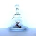 Vintage French Cloche Display Dome