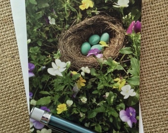 Robin's Nest: Blank Note Card
