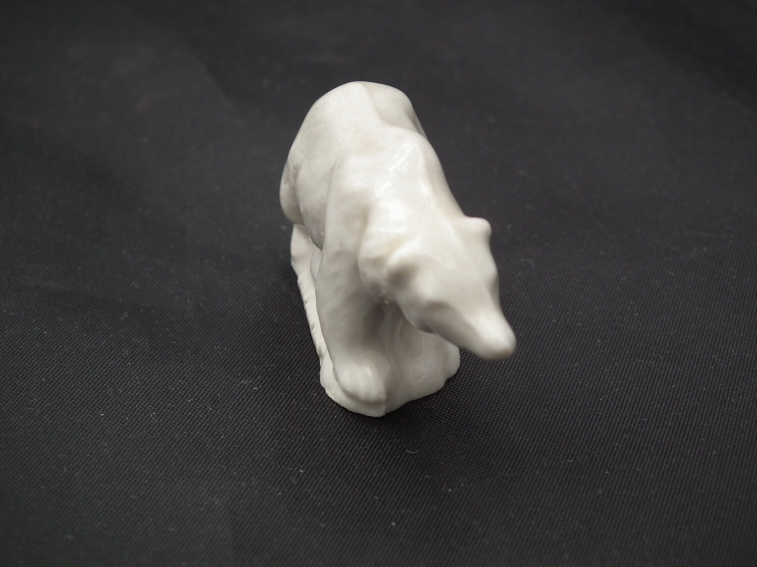 wade polar bear