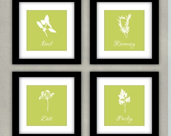 Herbs Kitchen Art Print Set - Parsley, Basil, Dill, Rosemary