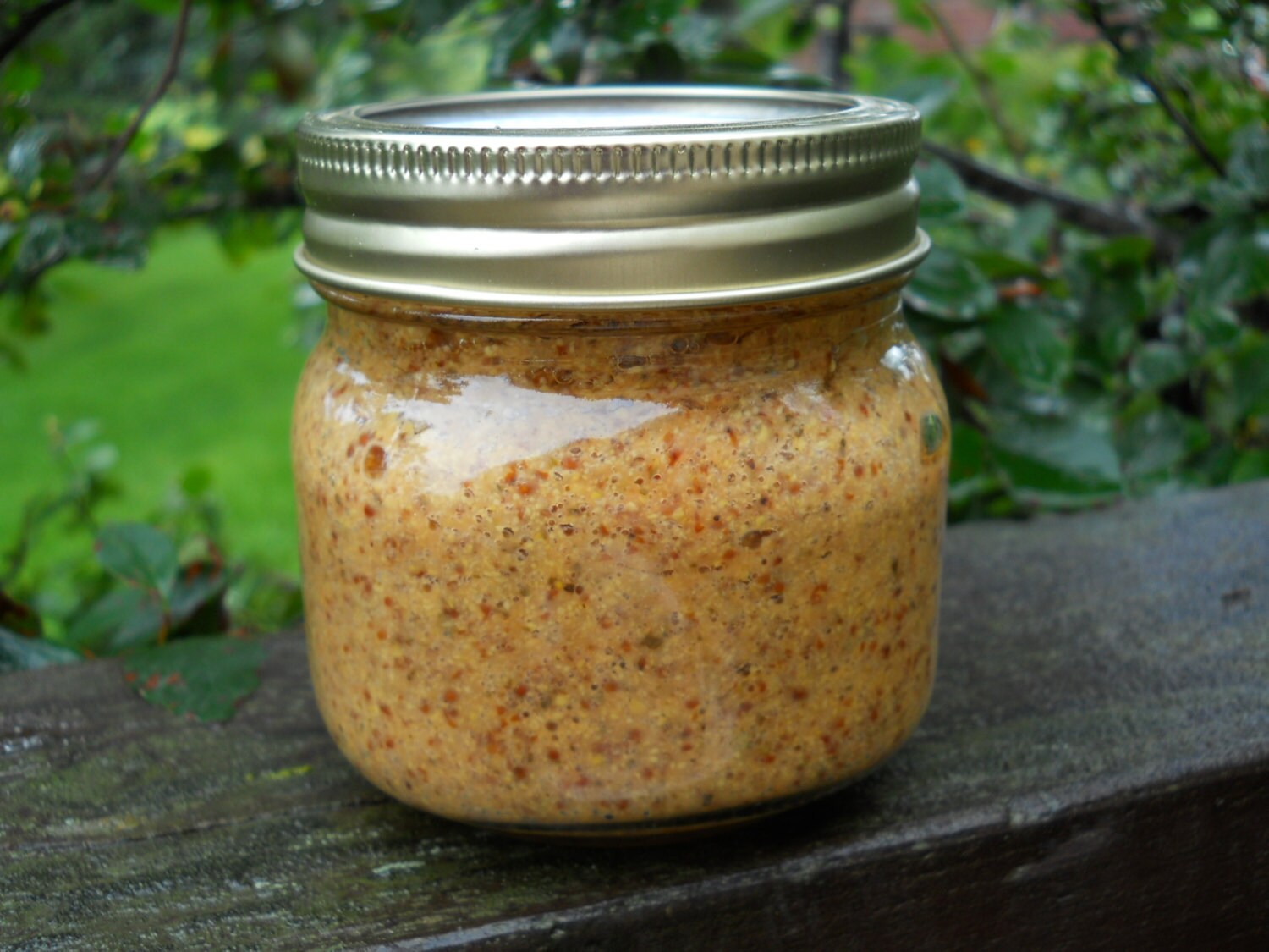 Rosemary Orange Artisan Mustard Gourmet by BoondockEnterprises