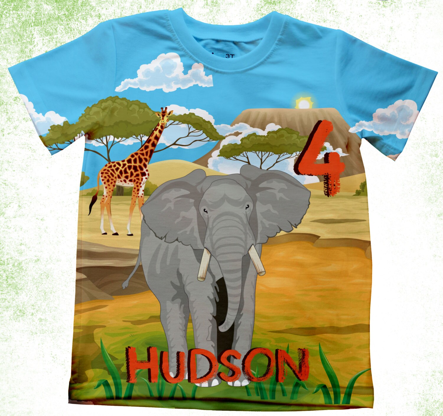 Personalized elephant Tshirt Boys zoo shirt Birthday zoo