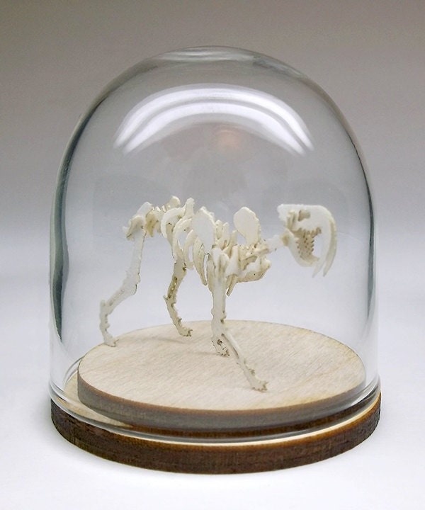 39mm glass display dome with wood base 39mm glass display dome with wood base