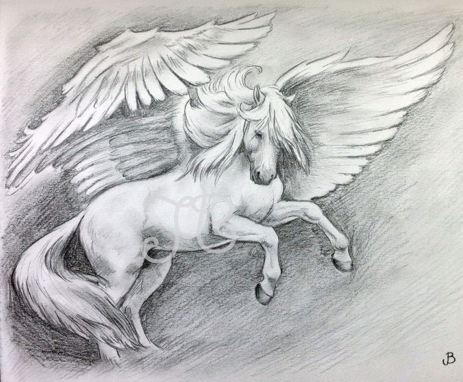 ORIGINAL Pegasus Horse Rearing Graphite Pencil Drawing by Jess