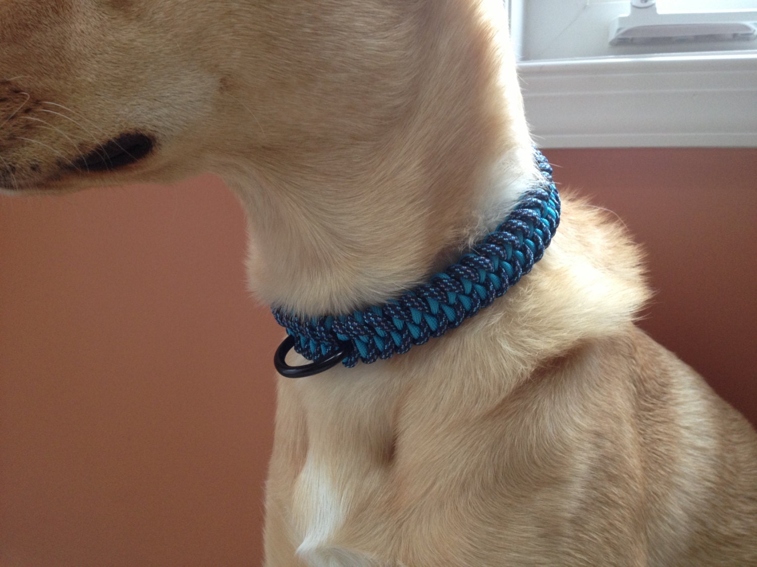Paracord Dog CollarBlue Spec Camo/Turquoise
