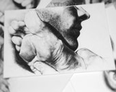 ACEO - Limited Edition Print  - Fine Art Print of pencil drawing - Pencil drawing - Artist Trading Card - Miniature art