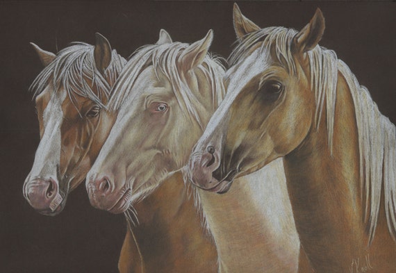 Beautiful colored pencil drawing of three horses