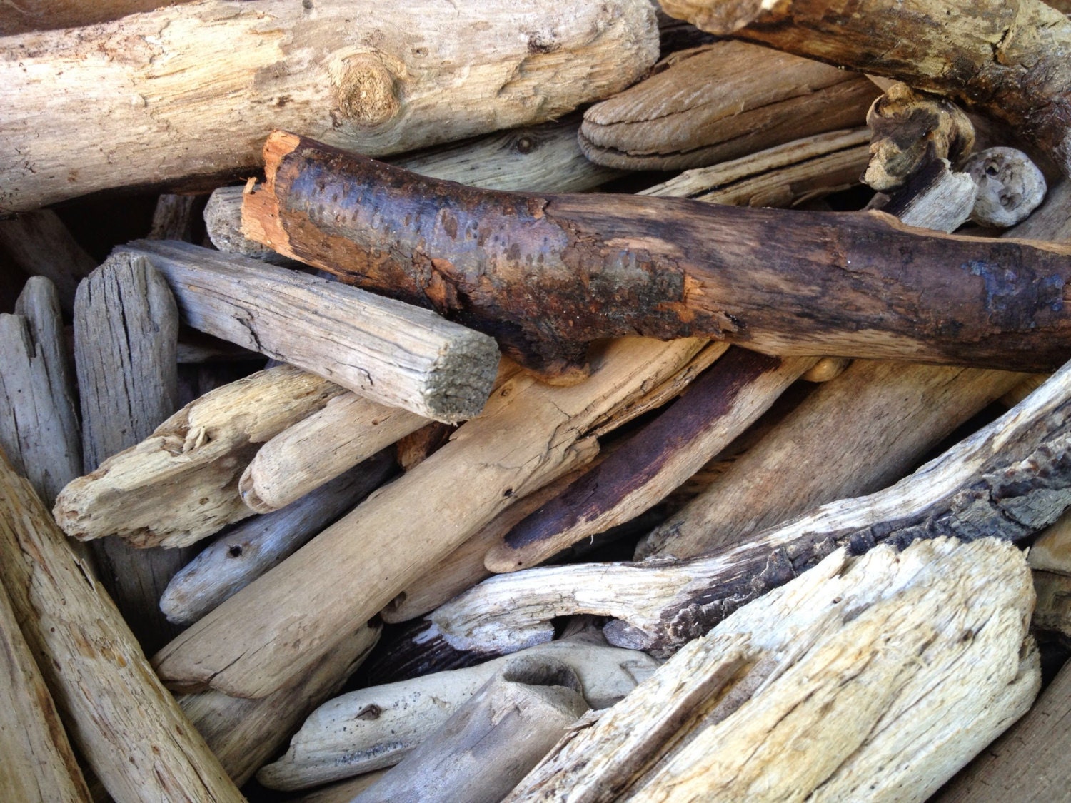 Bulk Maine Beach Driftwood for Crafting 150 Pieces 2