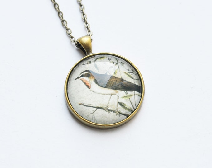 VINTAGE Round pendant metal brass with depiction of birds under glass
