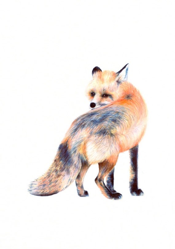 Fox Wall Art woodland poster fox fox wall art print fox nursery wall art Fox Wall Art woodland poster fox fox wall art print fox nursery wall art